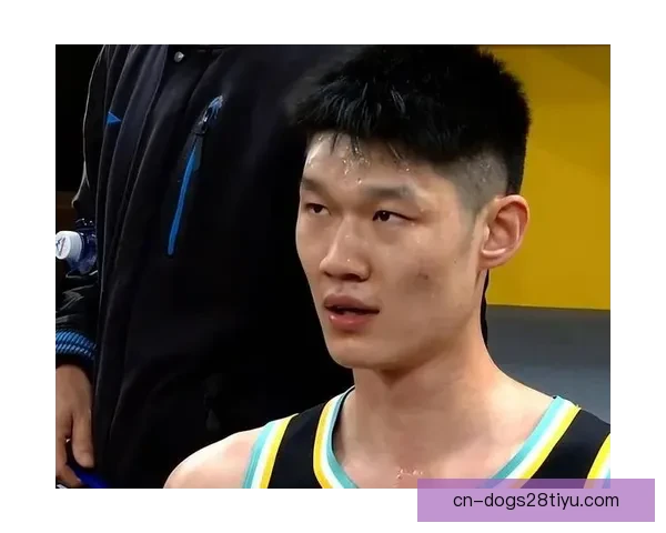 广厦七连胜大胜北控 胡金秋布朗发挥出色